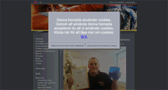 Desktop Screenshot of messmide.se